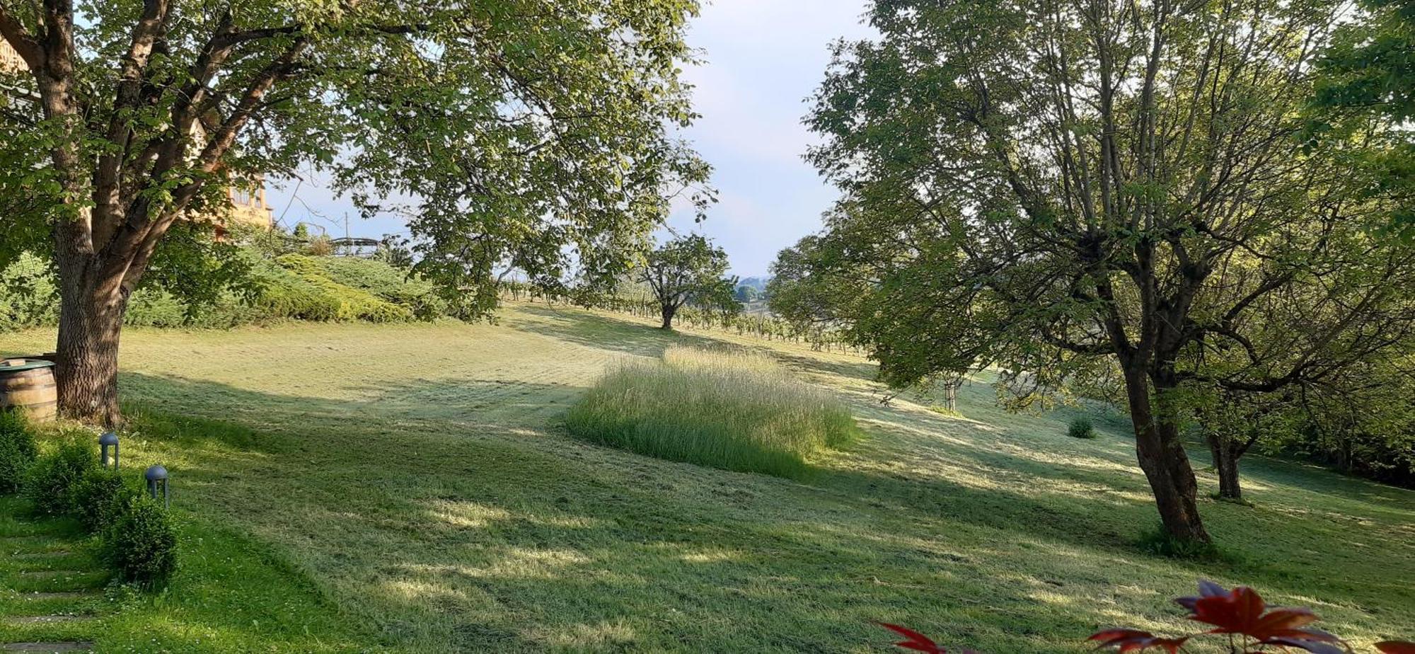 Ferienwohnungen Soravia Gamlitz Esterno foto