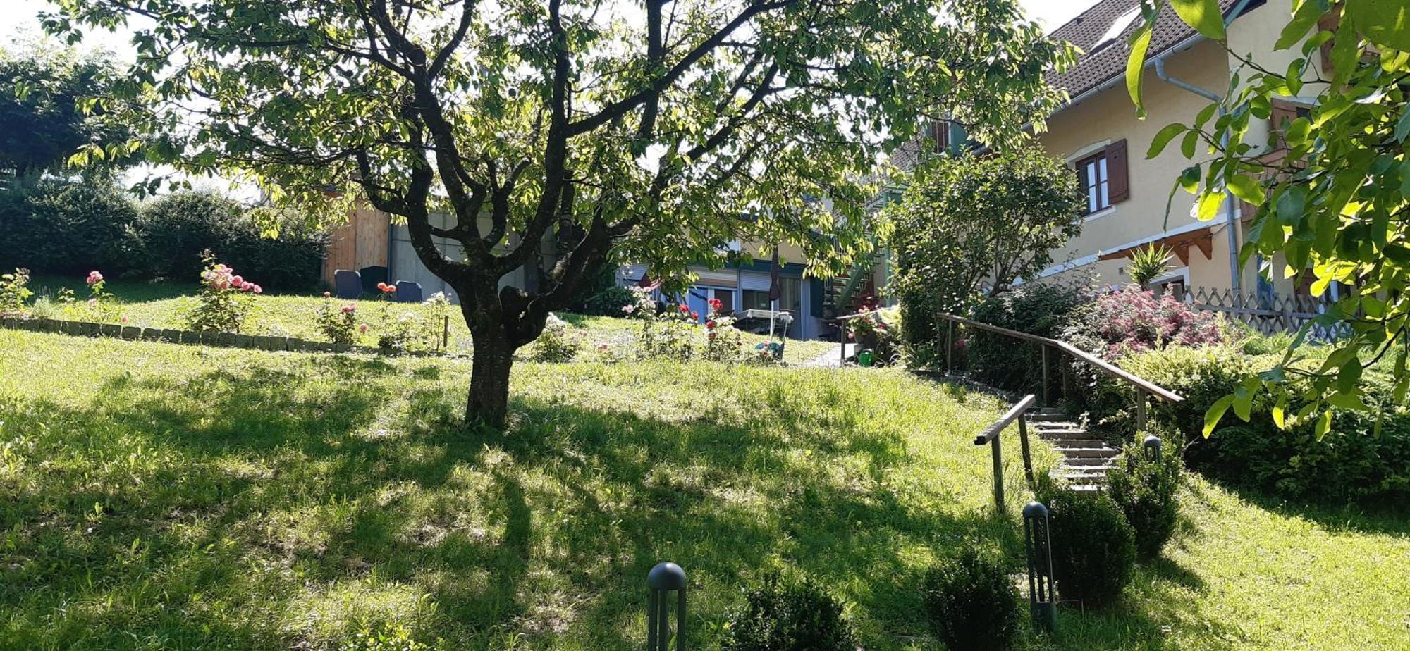 Ferienwohnungen Soravia Gamlitz Esterno foto